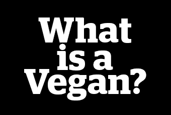 Veganism – what’s the big deal?